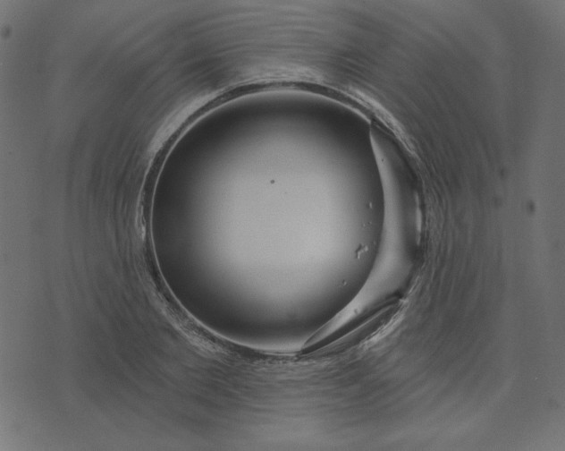 X0000073710885200608171135