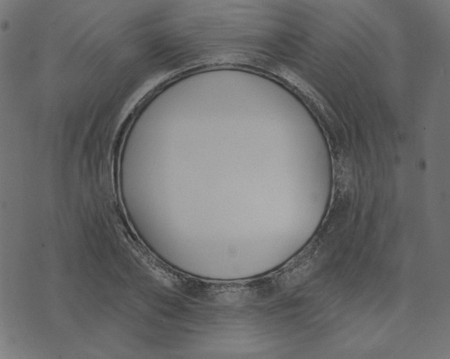 X0000073710886200608171135