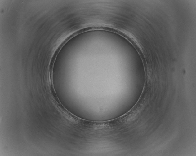 X0000073710887200608171135