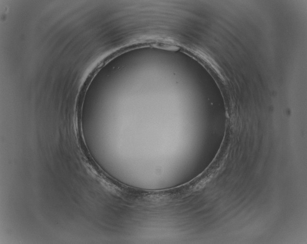 X0000073710888200608171135