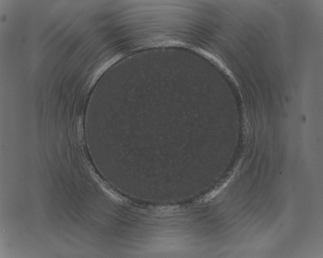 X0000073710889200608171135