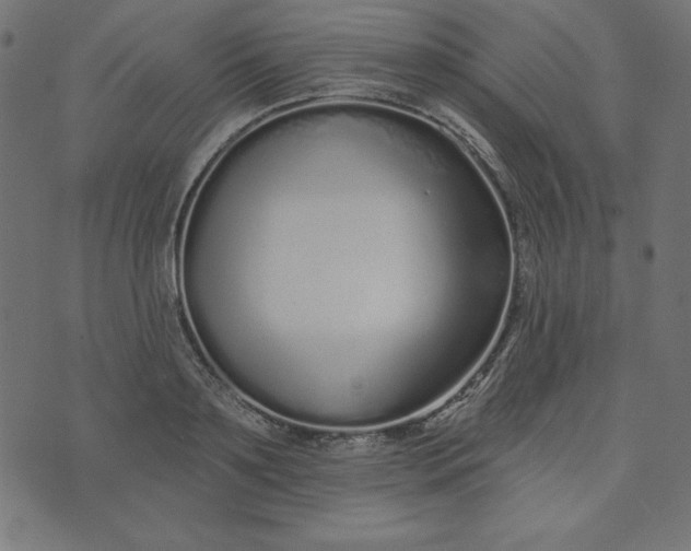 X0000073710891200608171135