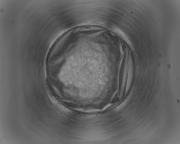 X0000073710892200608171135