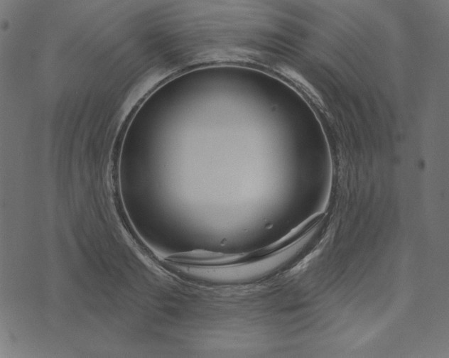 X0000073710893200608171135