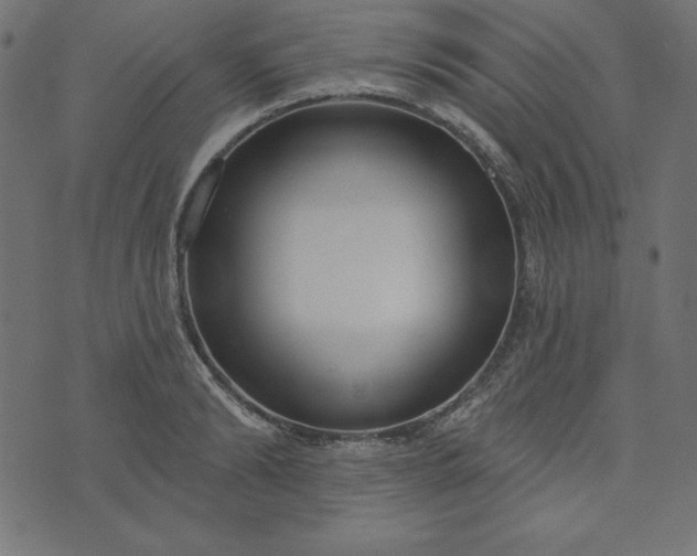 X0000073710894200608171135