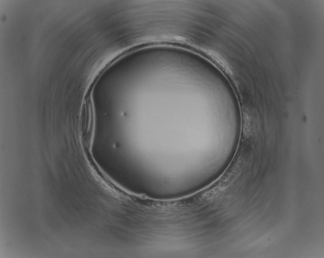 X0000073710895200608171135