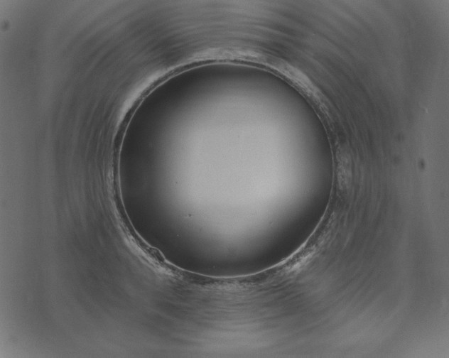 X0000073710896200608171135