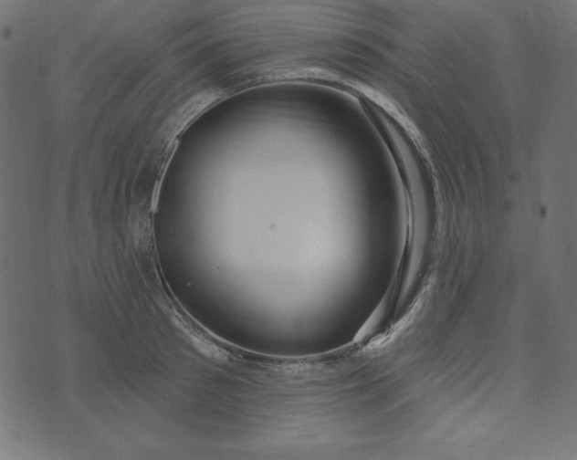 X0000073710897200608171135