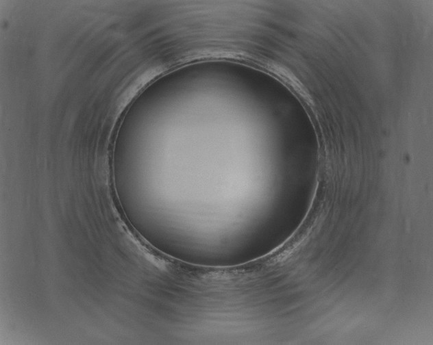 X0000073710898200608171135