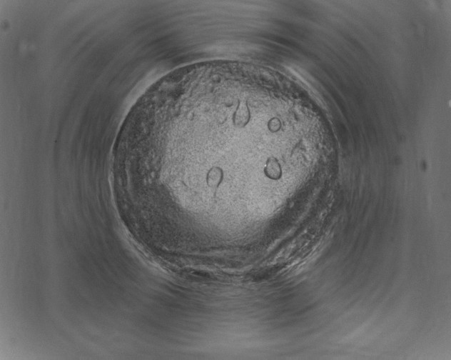 X0000073710899200608171135