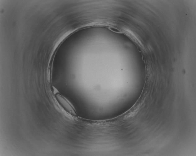 X0000073710900200608171135