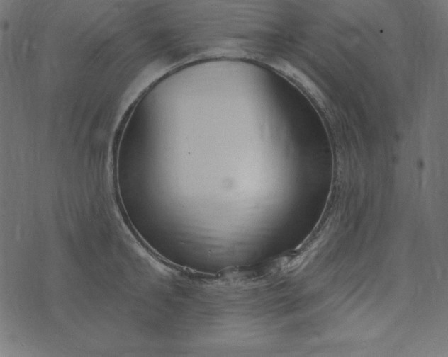 X0000073710902200608171135