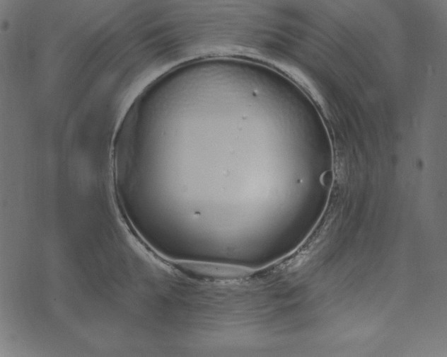 X0000073710903200608171135