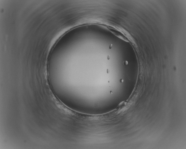 X0000073710904200608171135