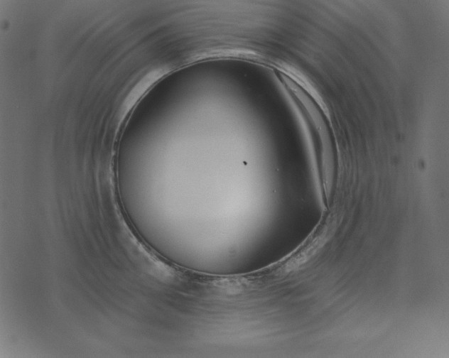 X0000073710906200608171135