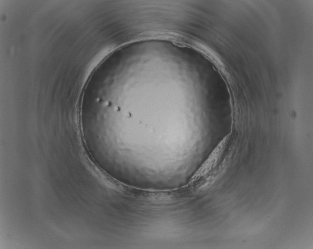 X0000073710907200608171135