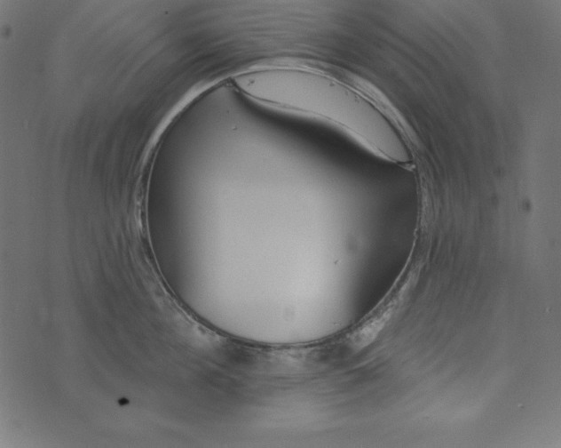 X0000073710908200608171135