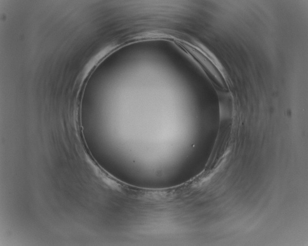 X0000073710909200608171135