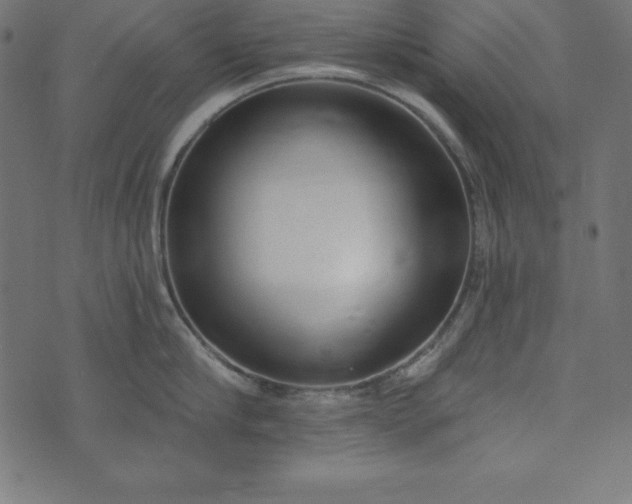 X0000073710910200608171135