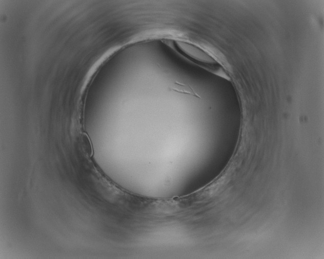 X0000073710912200608171135