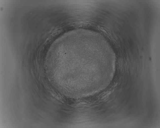 X0000073710913200608171134