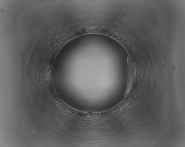 X0000073710914200608171134