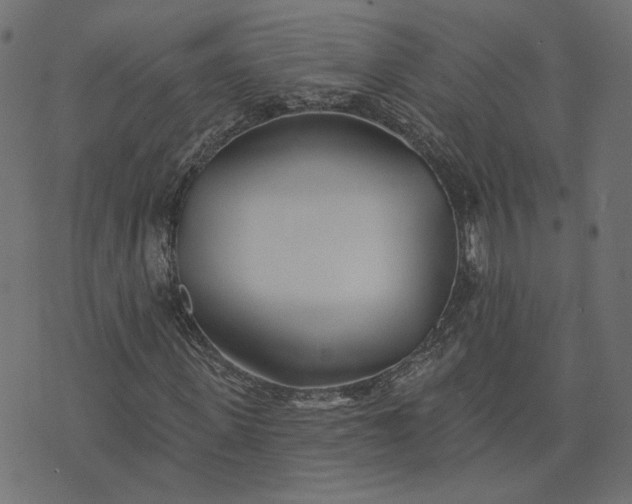 X0000073710915200608171134