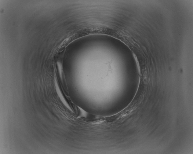 X0000073710916200608171134