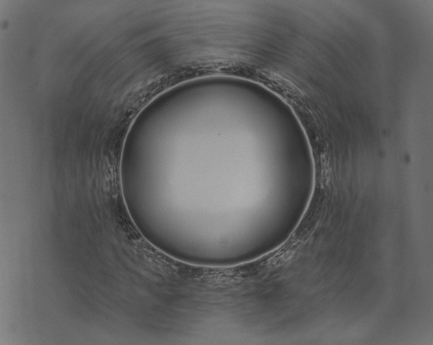 X0000073710917200608171134