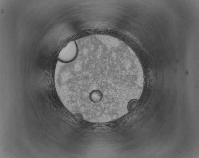 X0000073710918200608171134