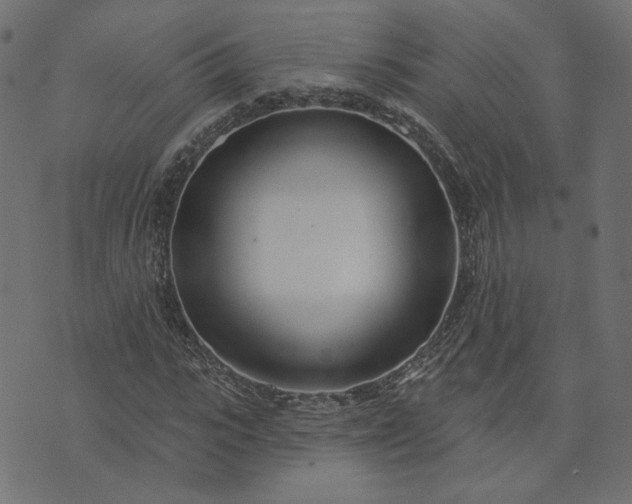 X0000073710919200608171134