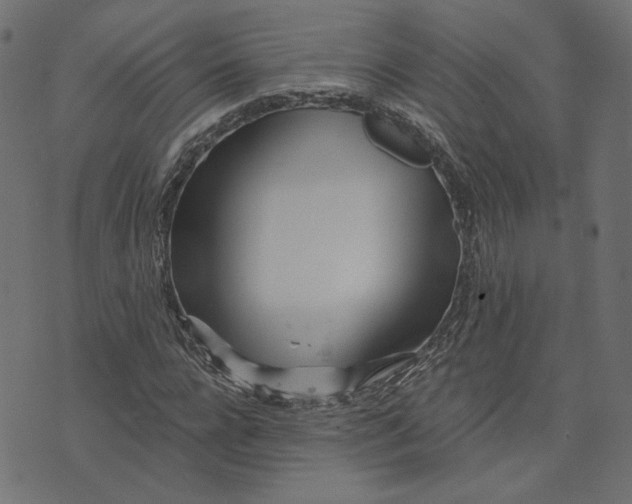 X0000073710920200608171134