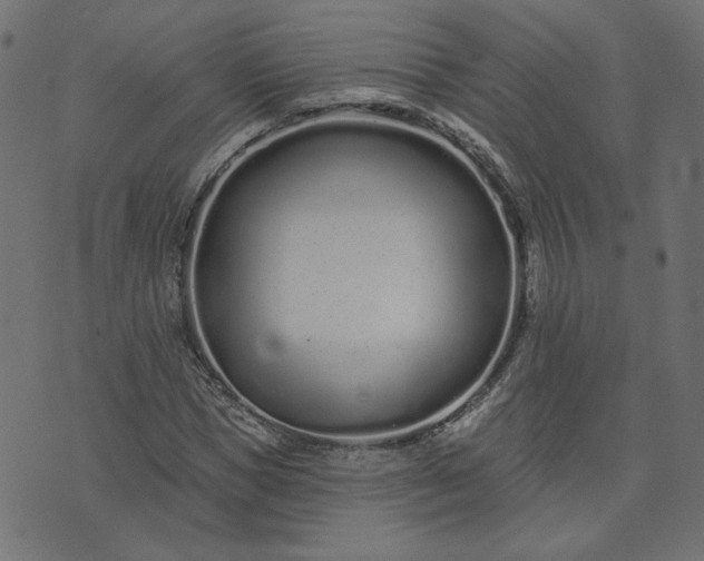 X0000073710921200608171134