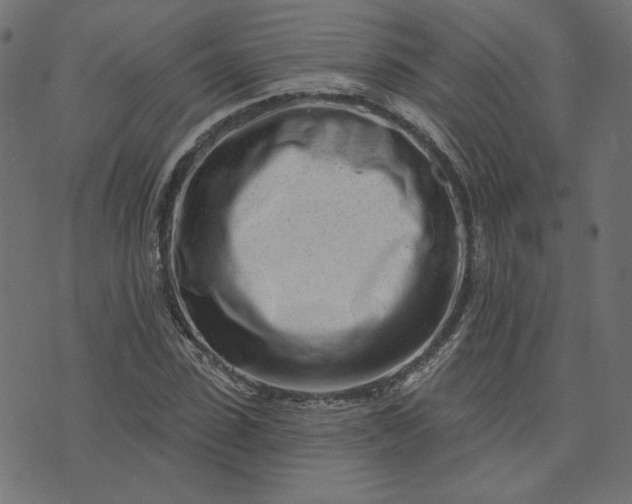 X0000073710923200608171134