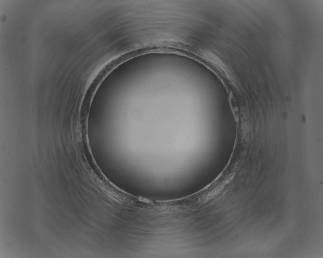 X0000073710924200608171134