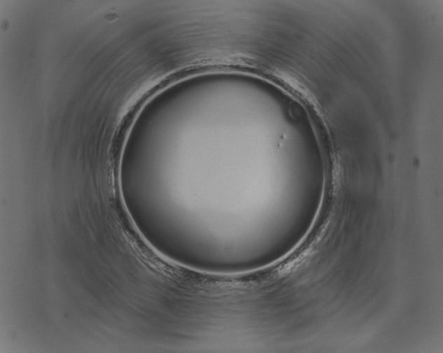 X0000073710925200608171134