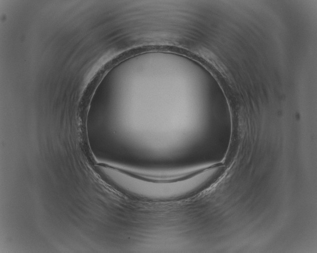 X0000073710926200608171134