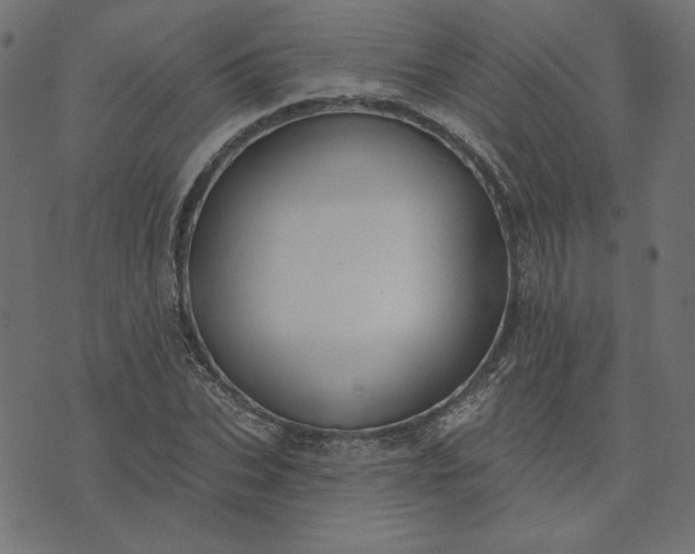 X0000073710927200608171134