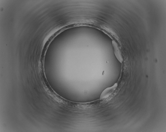 X0000073710928200608171134