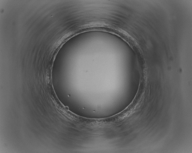 X0000073710929200608171134