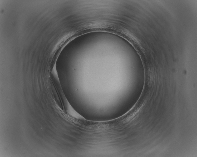 X0000073710930200608171134