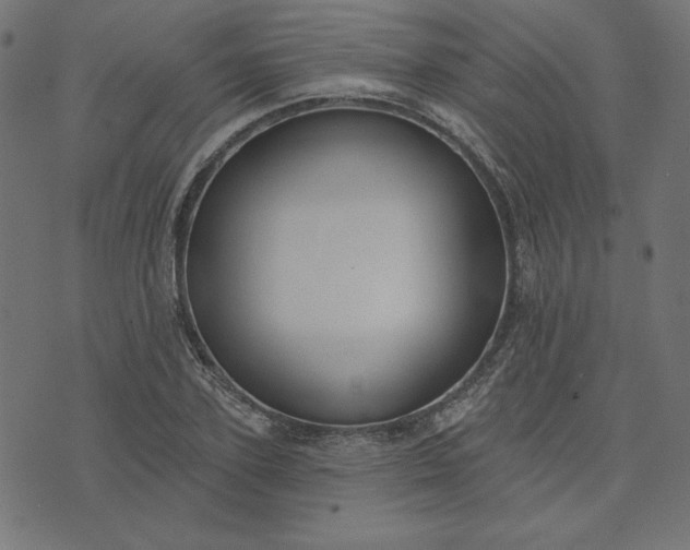 X0000073710931200608171134