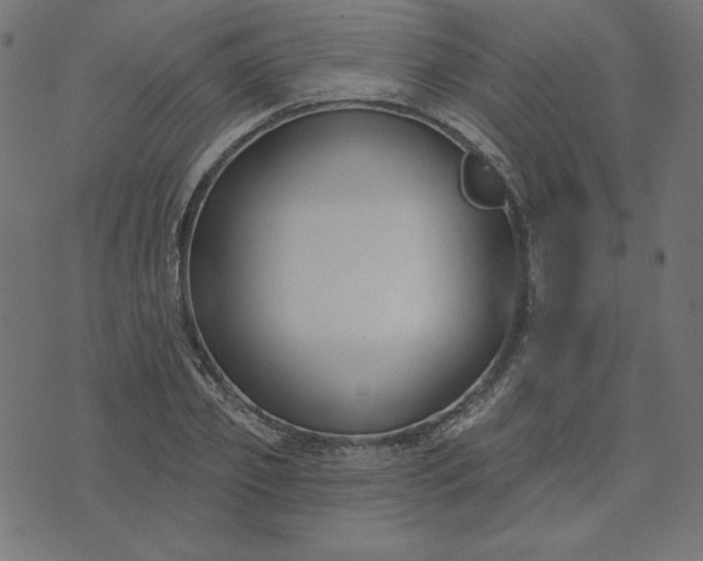 X0000073710933200608171134