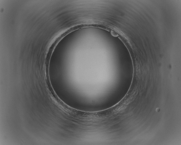 X0000073710935200608171134