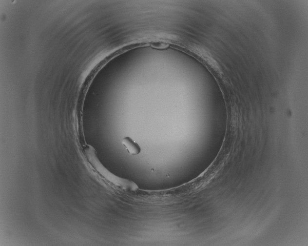 X0000073710936200608171134