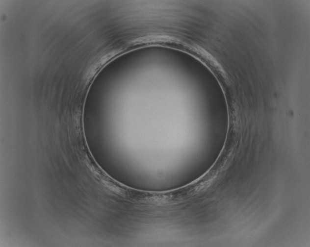 X0000073710937200608171134