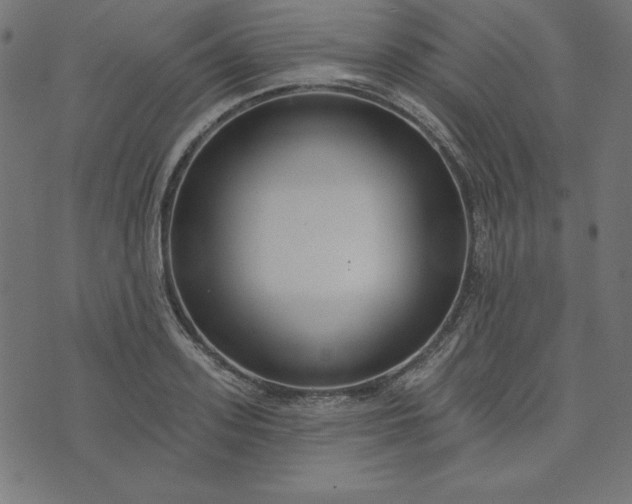 X0000073710939200608171134