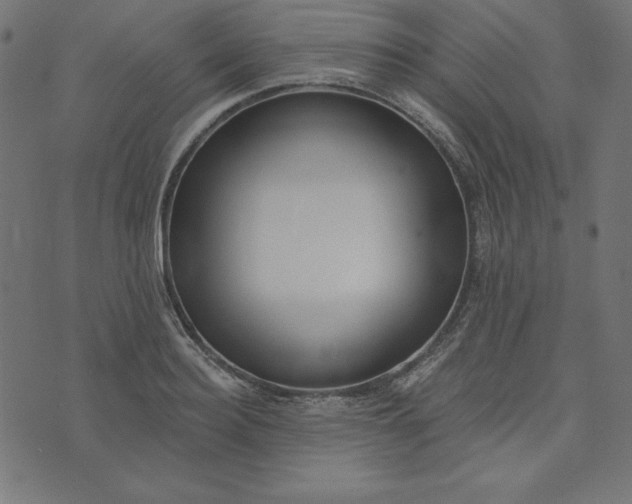 X0000073710940200608171134