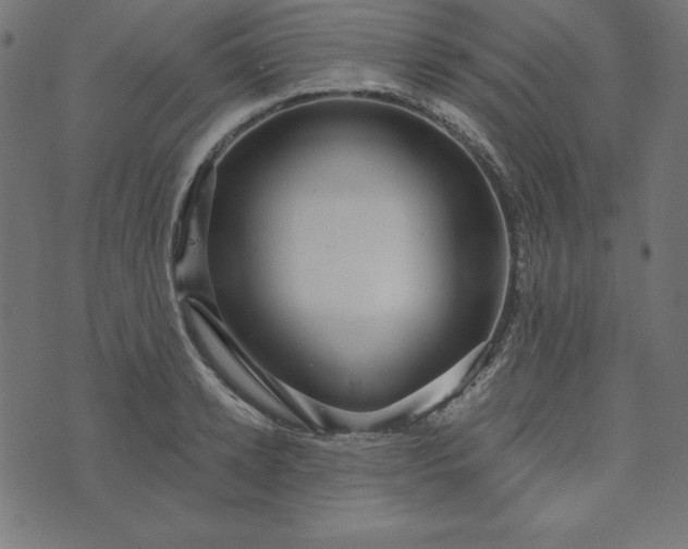 X0000073710942200608171134