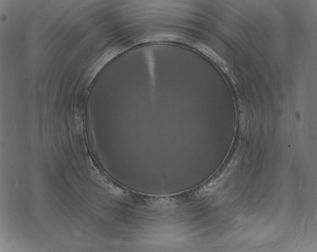 X0000073710945200608171135